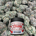 White Cherry Gelato - Hybrid